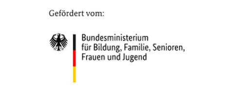 Logo Logo VIBNAssist