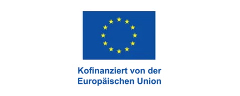 Logo ESF Plus
